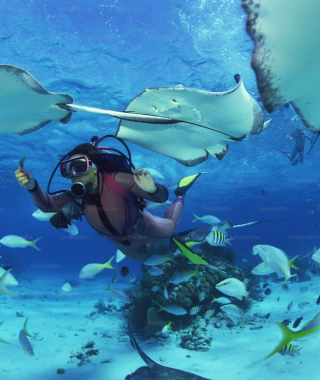 d4acd6ea1d6febc7a3ed9b85682bf154fa6b8227